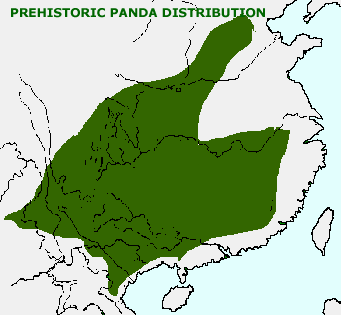 Where do pandas live?