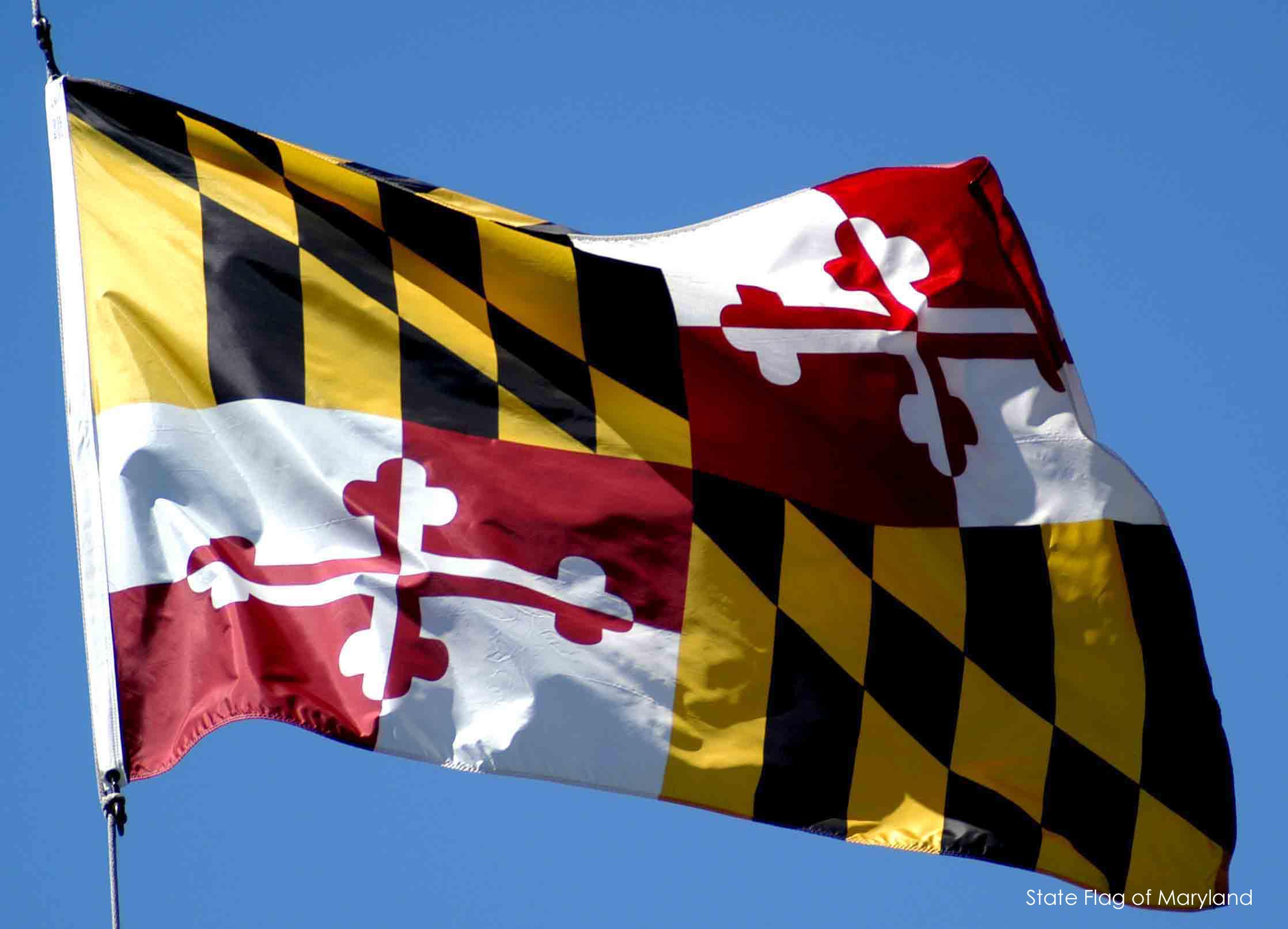 maryland new hire form